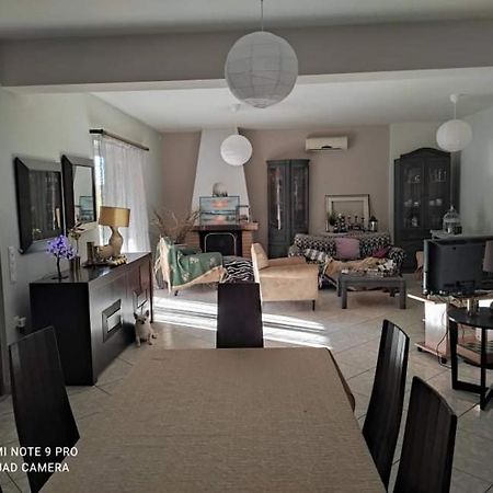Villa Pleasant House With Garden!! Anavyssos Esterno foto