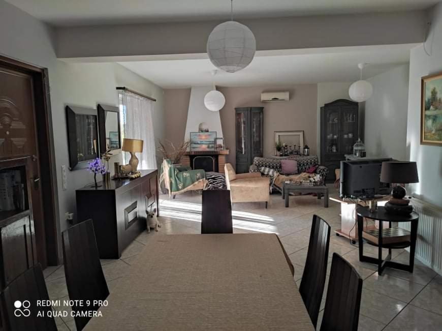 Villa Pleasant House With Garden!! Anavyssos Esterno foto